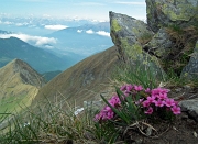 MONTE FIORARO o azzarini (2431 m.) - FOTOGALLERY